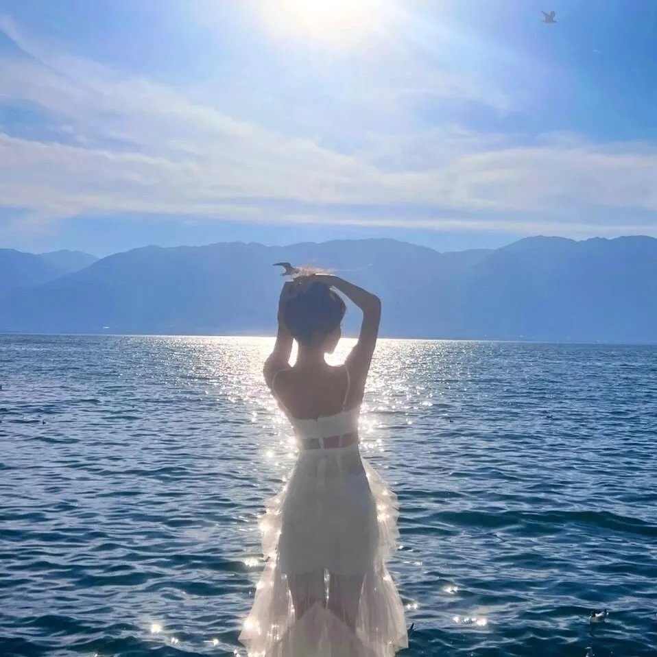 海军之翼